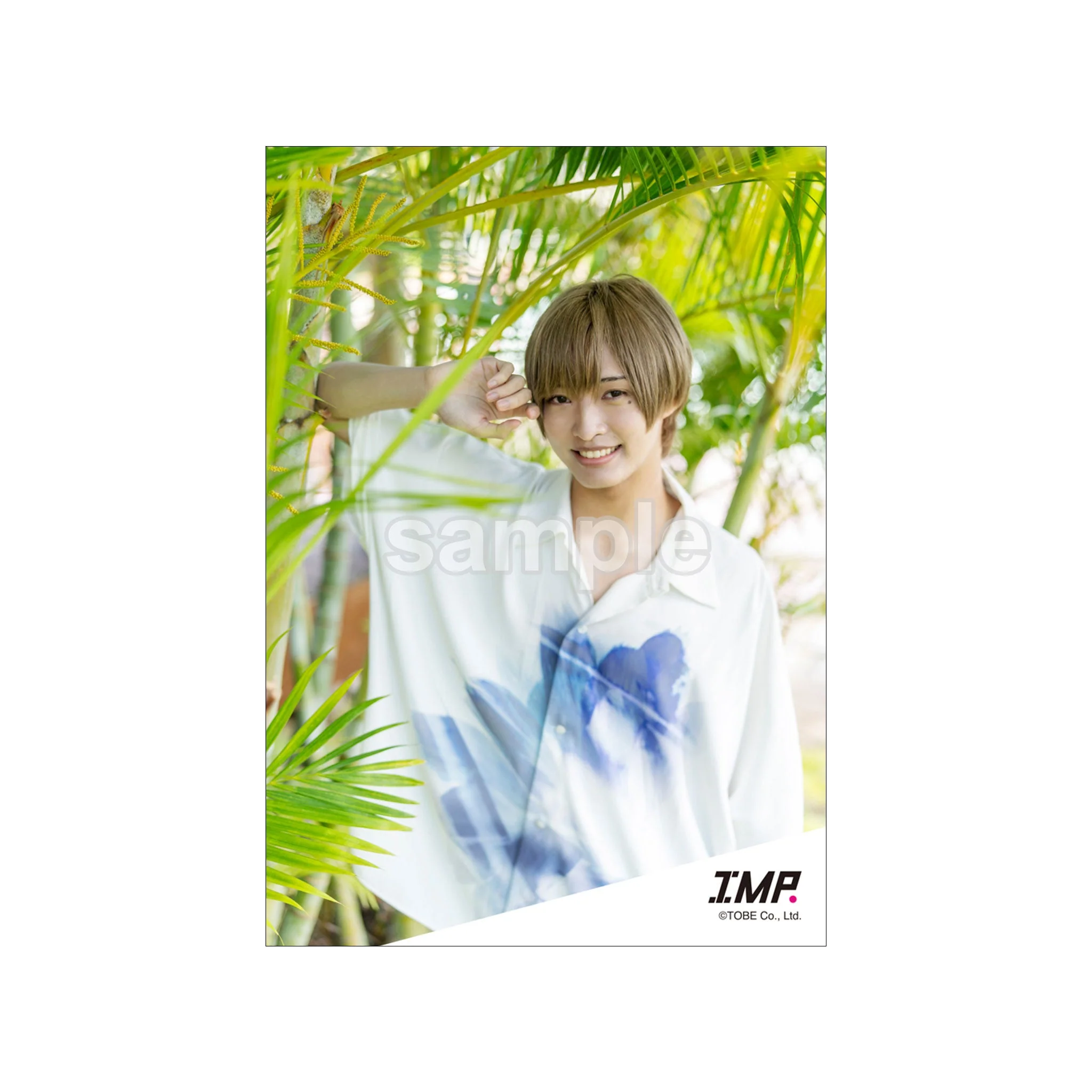 オリジナルフォトinHawaii2／IMP.佐藤新